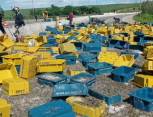 Caminhão carregado com camarão tomba e interdita trecho da BR-101 entre João Pessoa e Natal