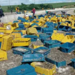 Caminhão carregado com camarão tomba e interdita trecho da BR-101 entre João Pessoa e Natal